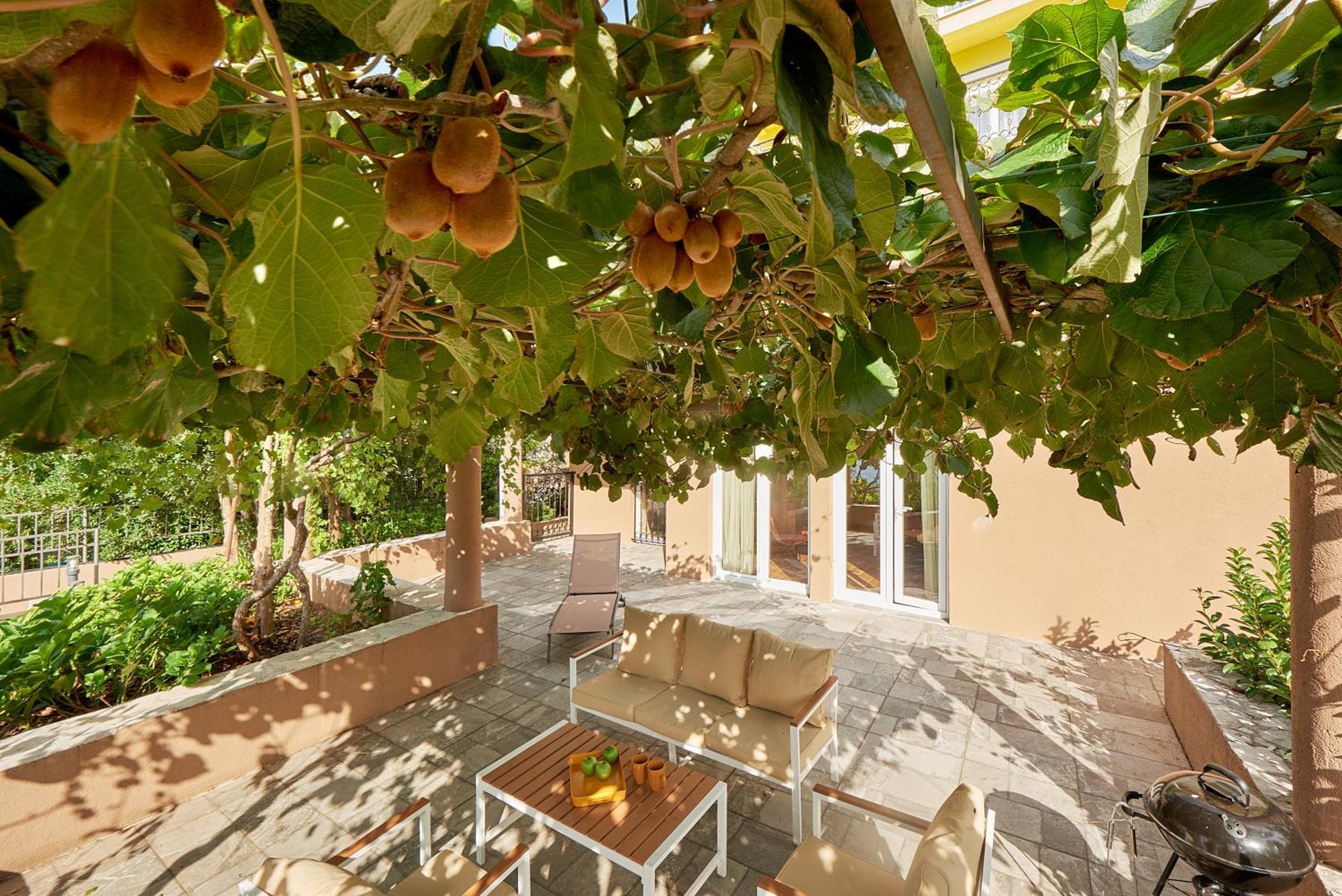 2Montenegro Mimoza Apartments Ντόμπροτα Εξωτερικό φωτογραφία